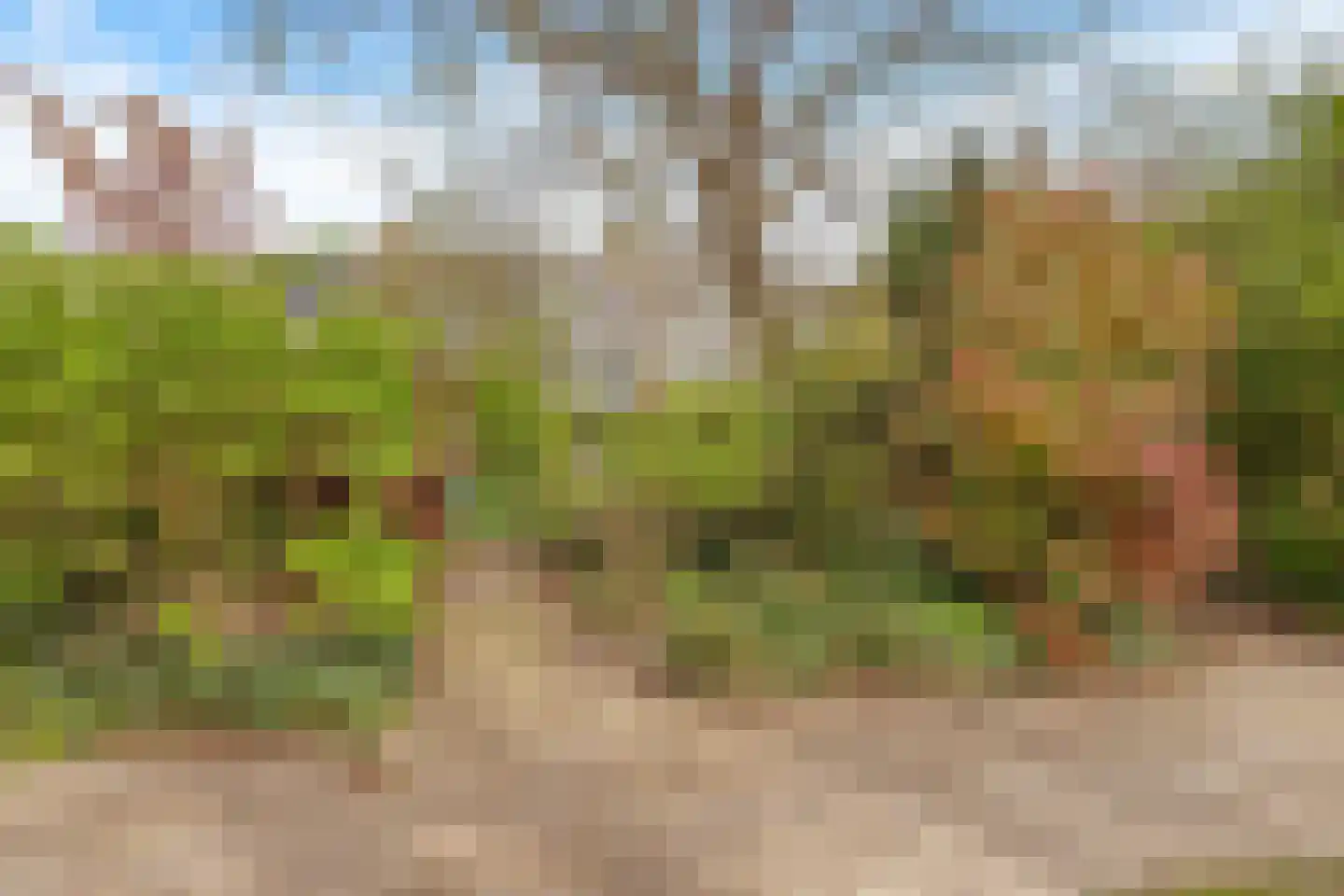 Het Wedde 81 Voorschoten thumbnail 42