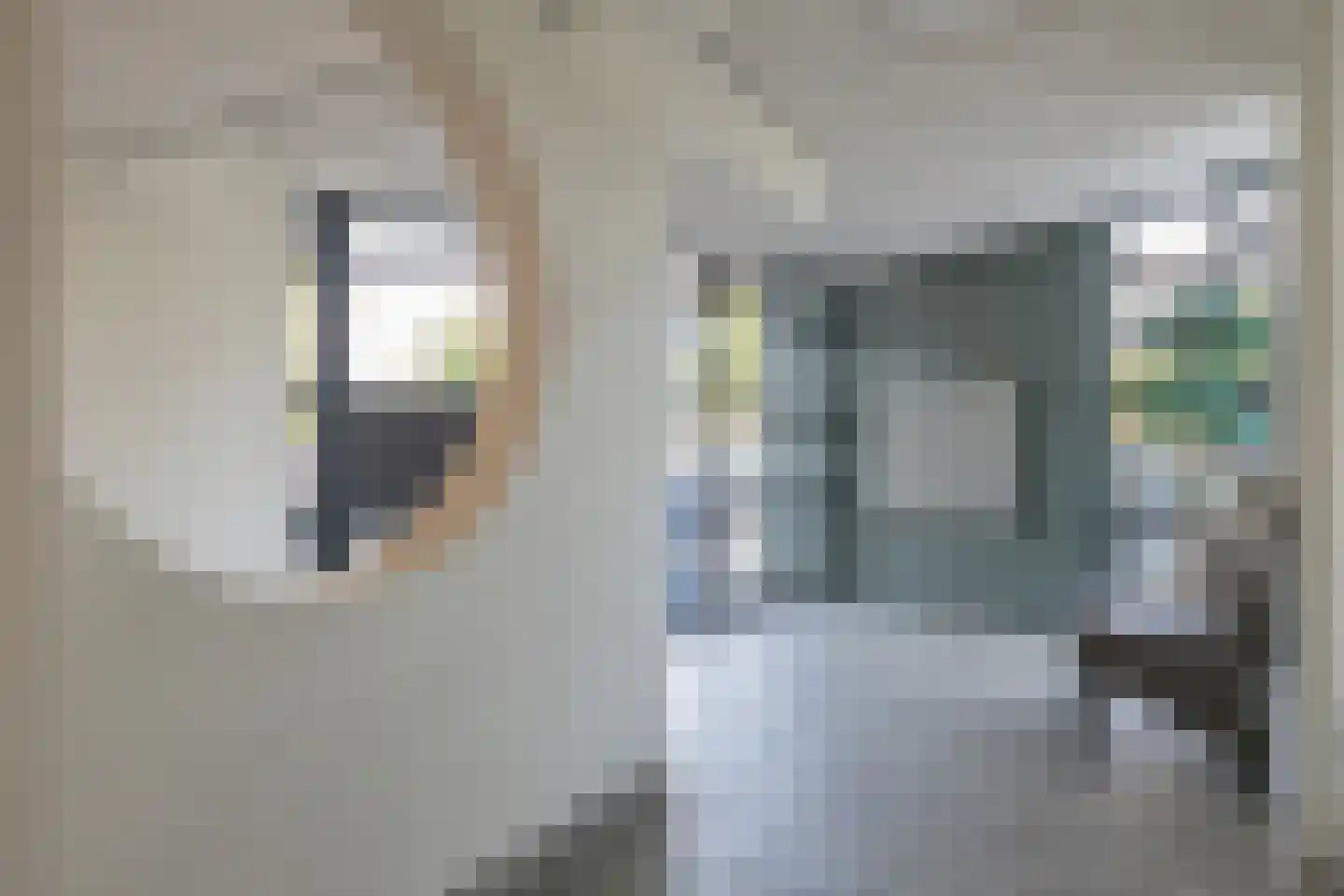 Het Weeld 161 Emmen thumbnail 16