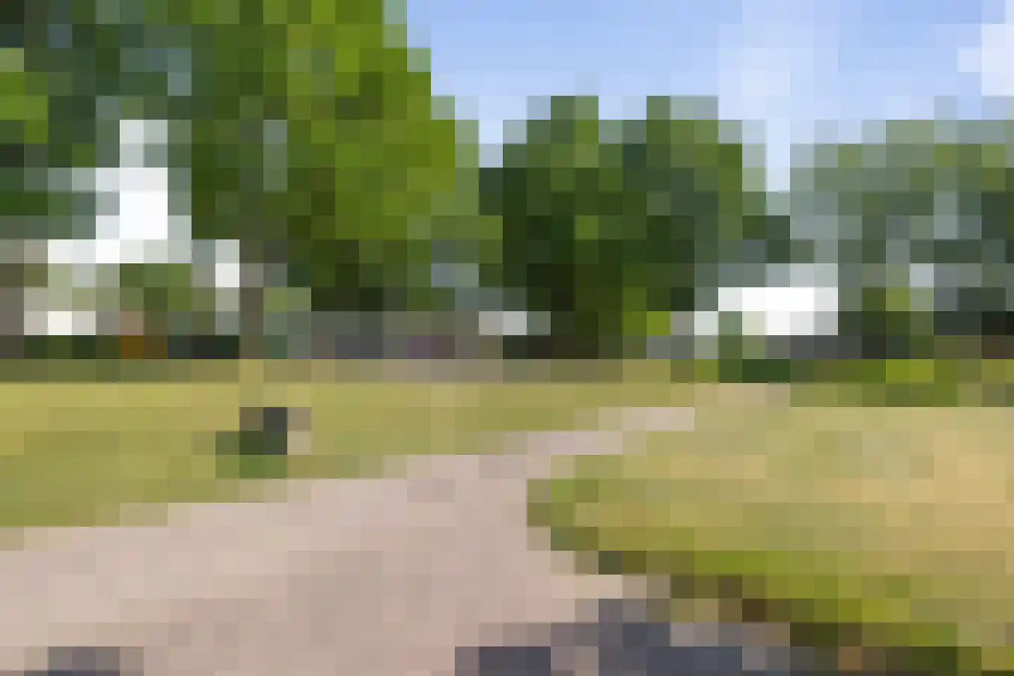 Het Weeld 161 Emmen thumbnail 20