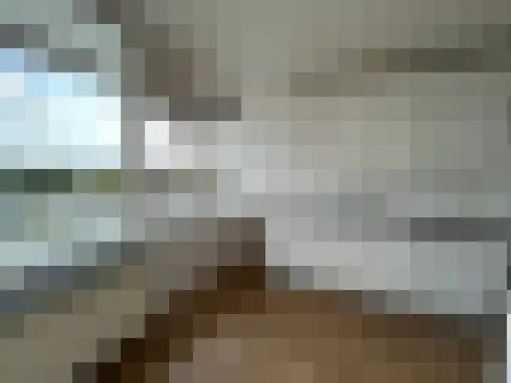Het Weeld 169 Emmen thumbnail 14