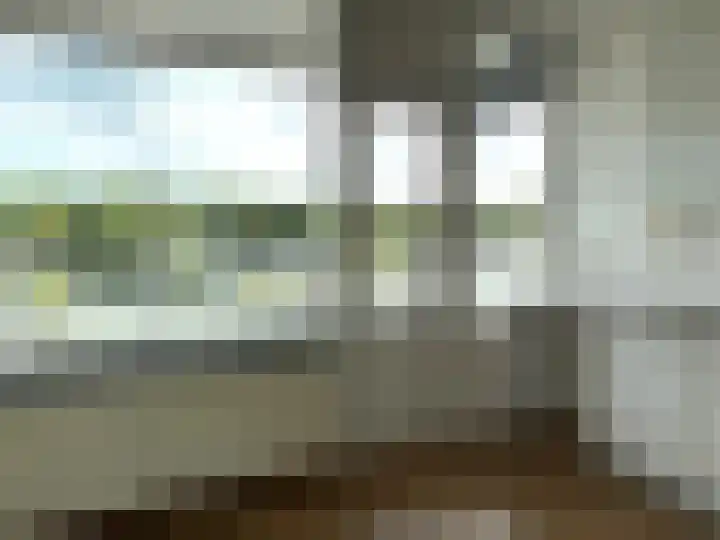 Het Weeld 169 Emmen thumbnail 16