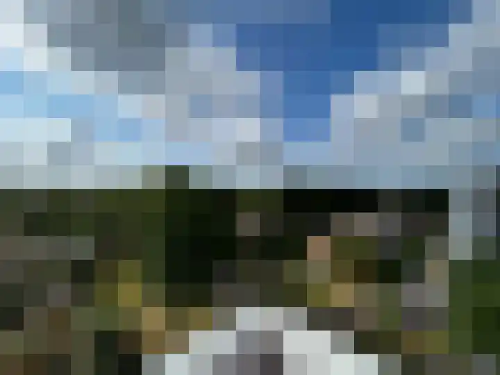Het Weeld 169 Emmen thumbnail 19