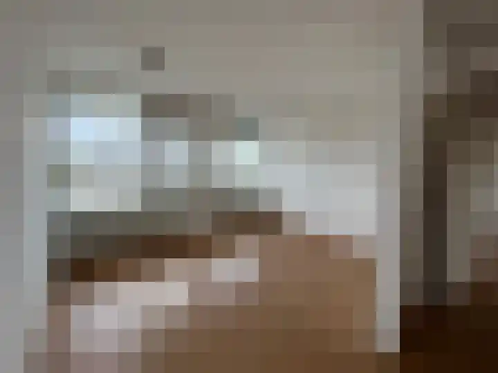 Het Weeld 169 Emmen thumbnail 30