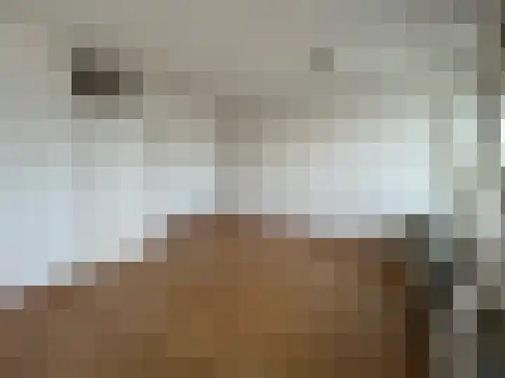 Het Weeld 169 Emmen thumbnail 32