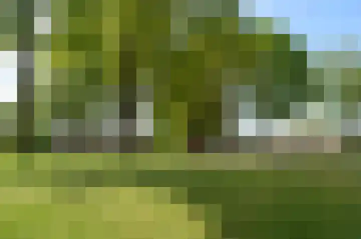 Het Weeld 169 Emmen thumbnail 35