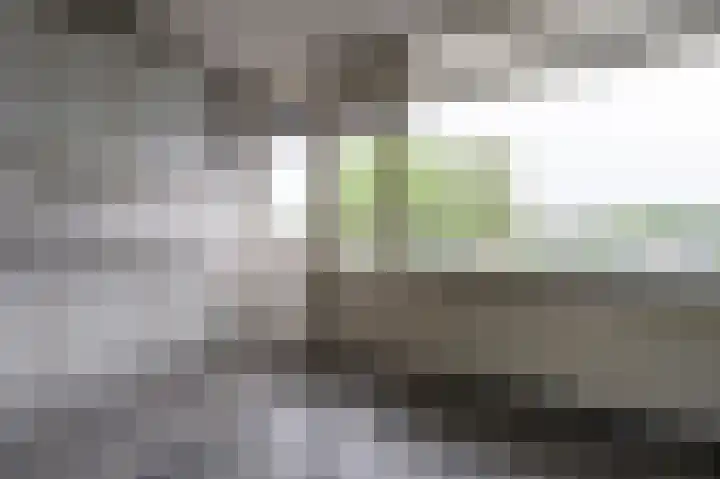 Het Weeld 184 Emmen thumbnail 10