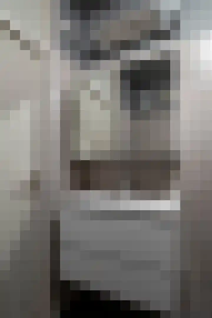 Het Weeld 184 Emmen thumbnail 17