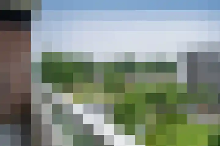 Het Weeld 184 Emmen thumbnail 24
