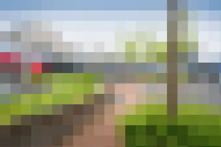 Het Weeld 184 Emmen thumbnail 27