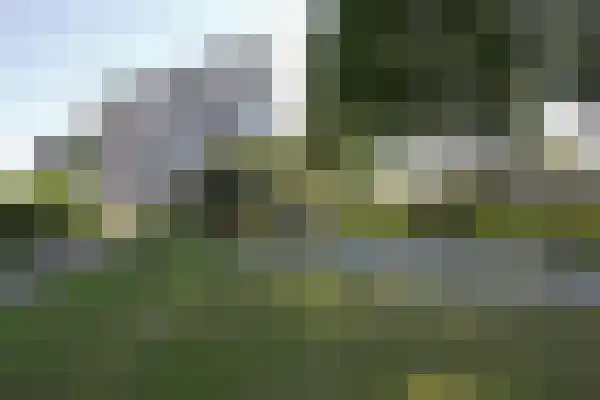 Het Weeld 189 en Emmen