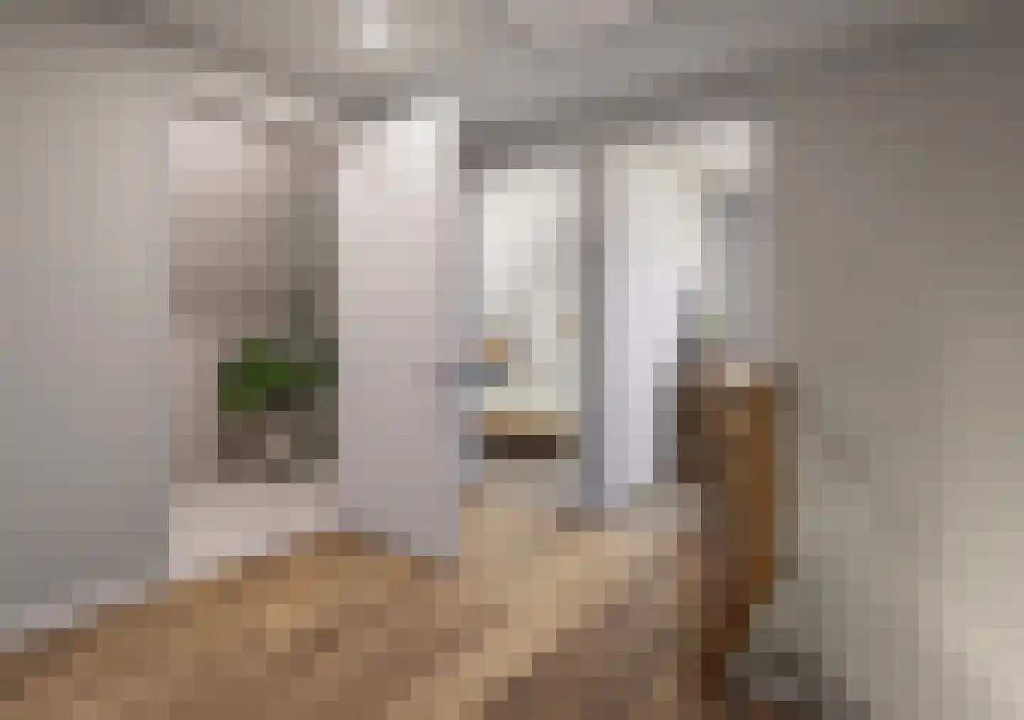 Het Weeme 16 Nijeveen thumbnail 5