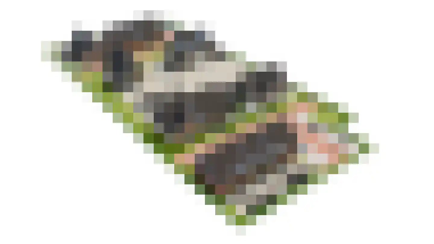 Het Weeme 16 Nijeveen thumbnail 6