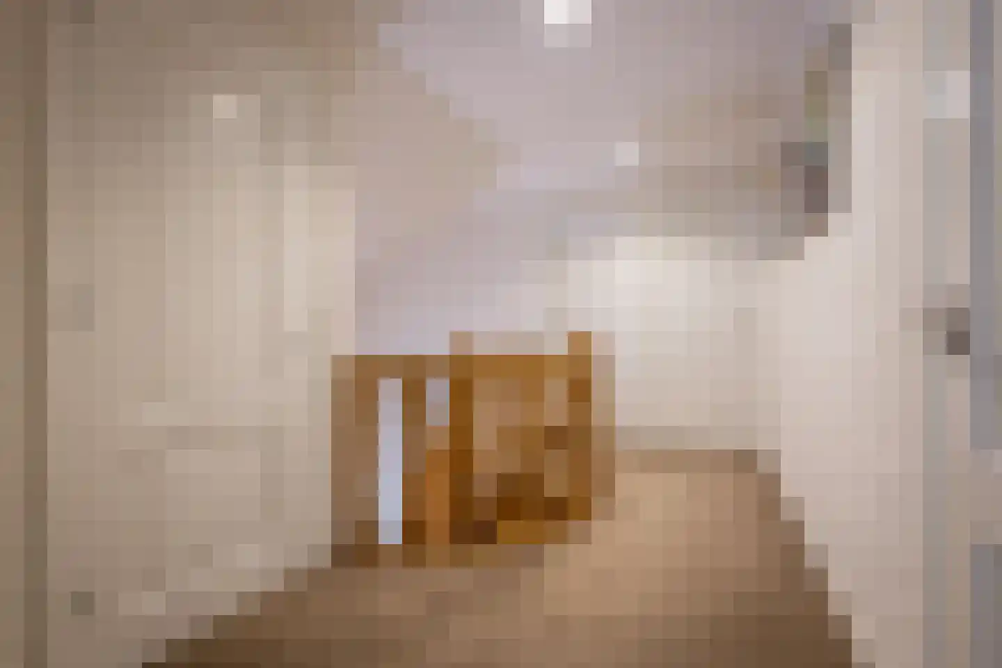 Het Wegdam 5 Hengevelde thumbnail 11