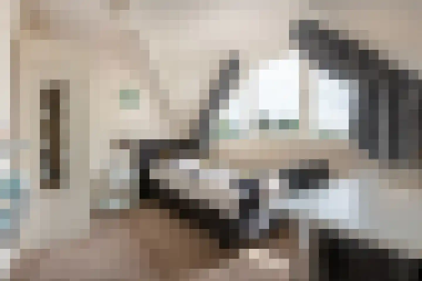 Het Wegdam 5 Hengevelde thumbnail 13