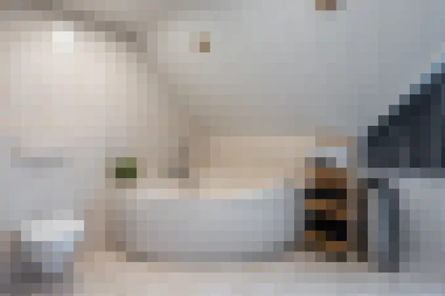 Het Wegdam 5 Hengevelde thumbnail 15