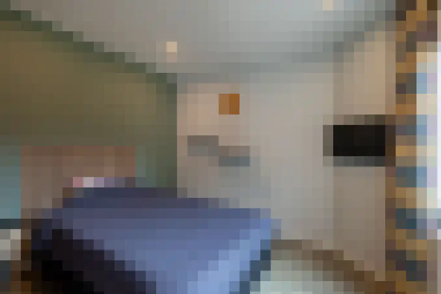 Het Wegdam 5 Hengevelde thumbnail 22
