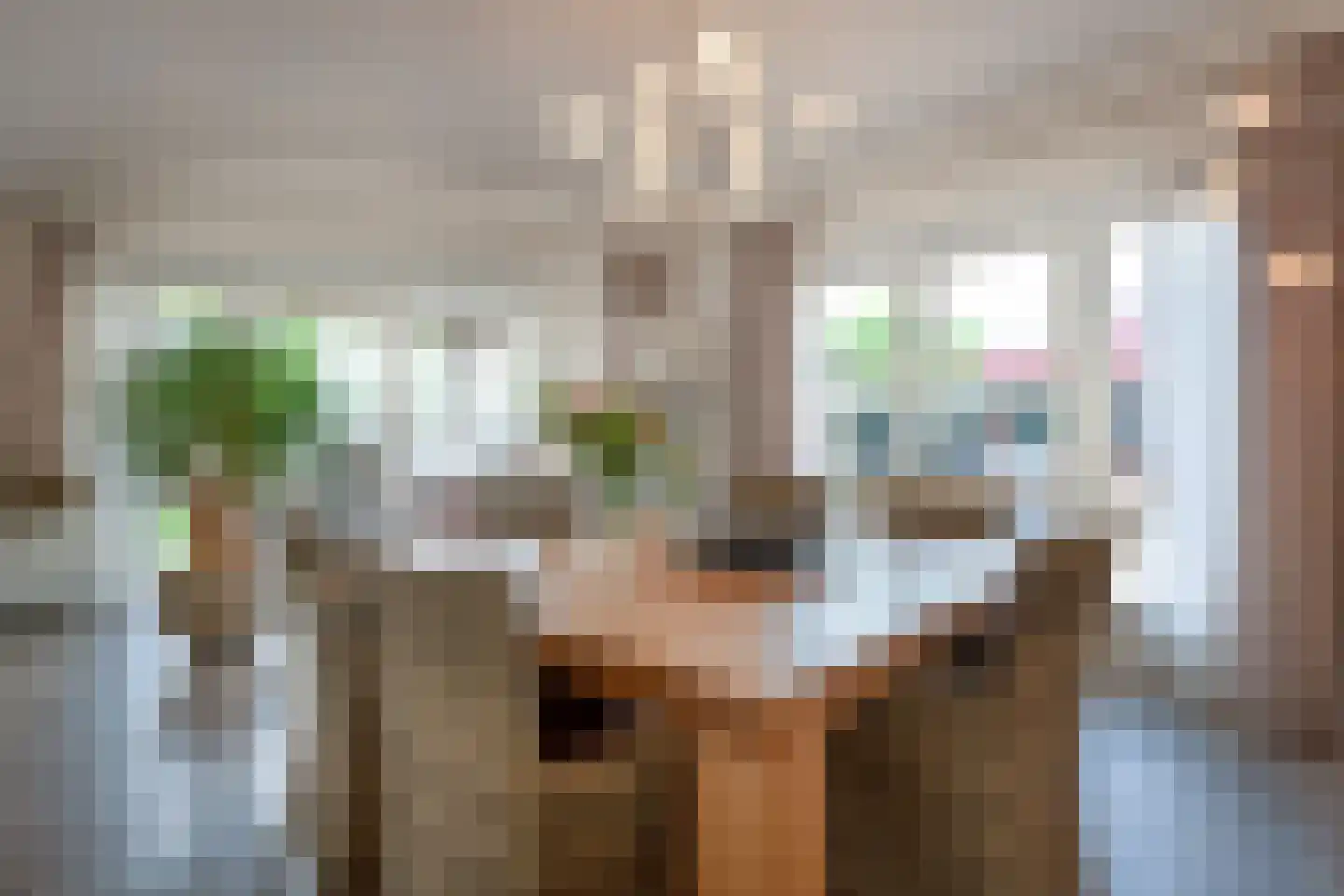 Het Wegdam 5 Hengevelde thumbnail 8