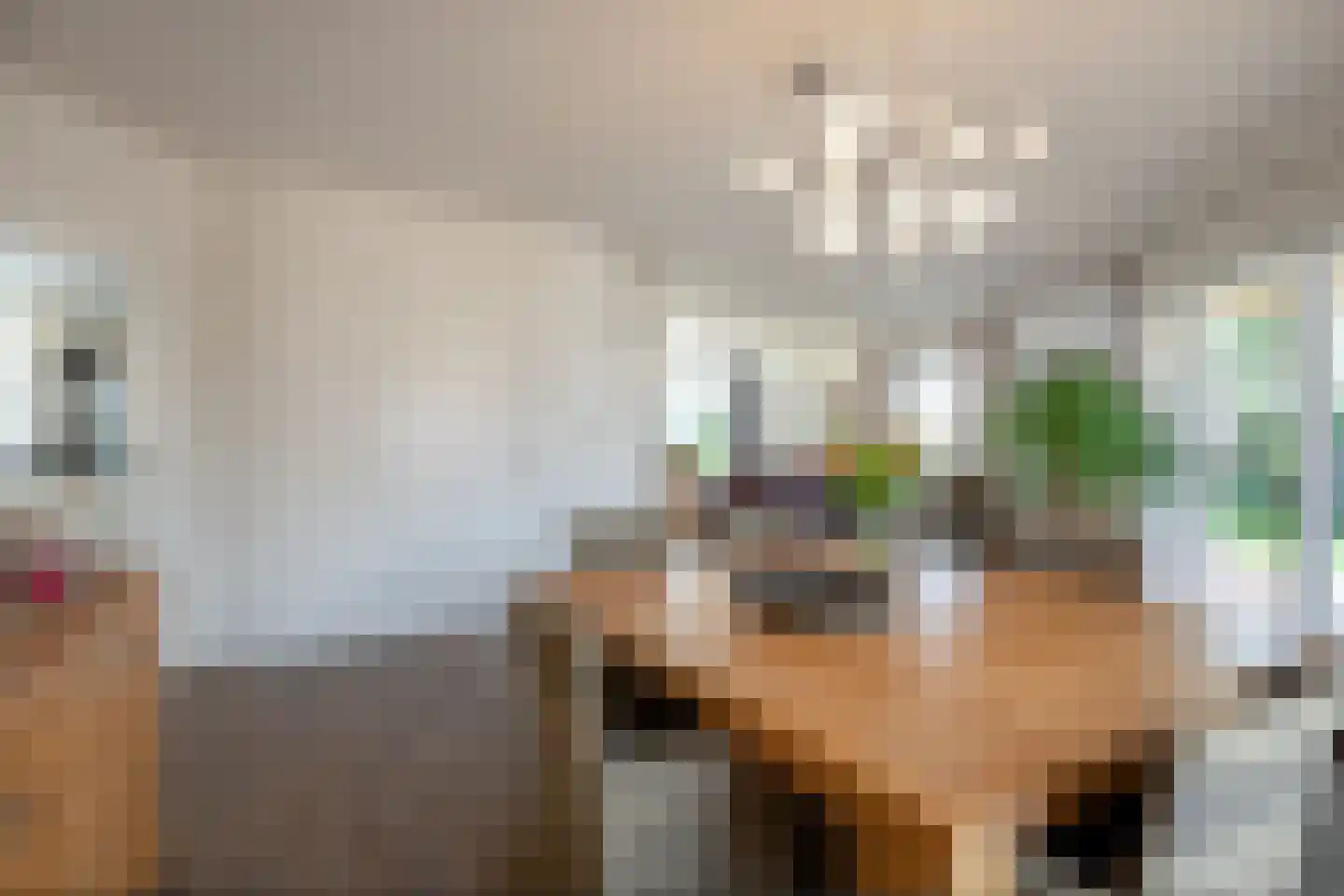 Het Wegdam 5 Hengevelde thumbnail 9
