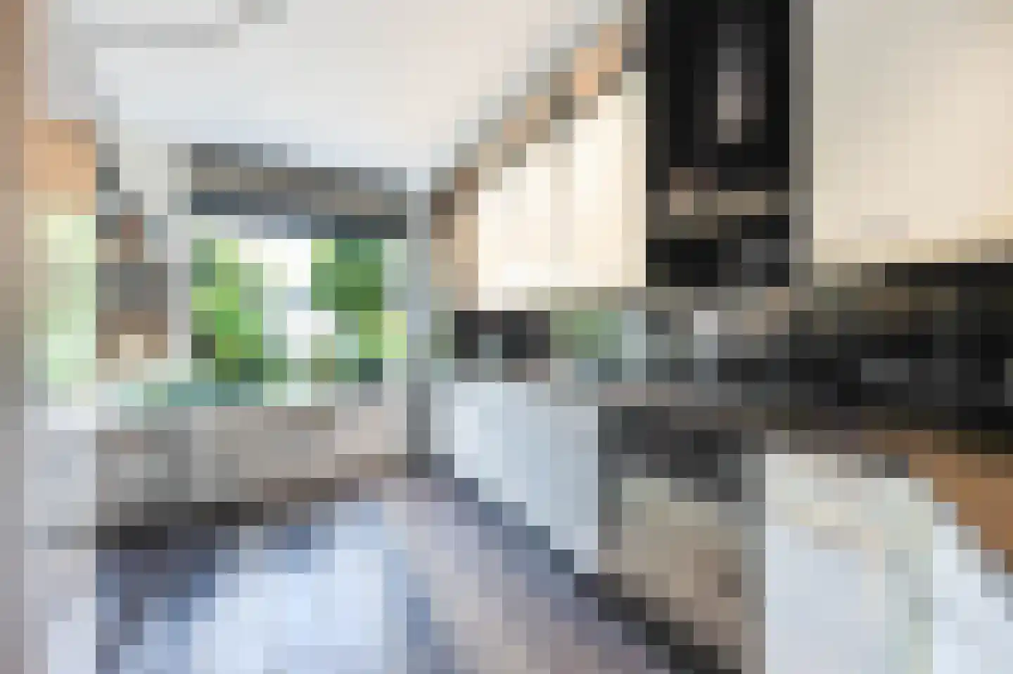 Het Welvaren 31 Westzaan thumbnail 13