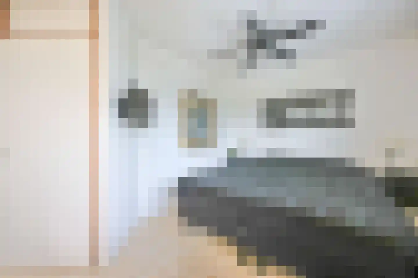 Het Welvaren 31 Westzaan thumbnail 22