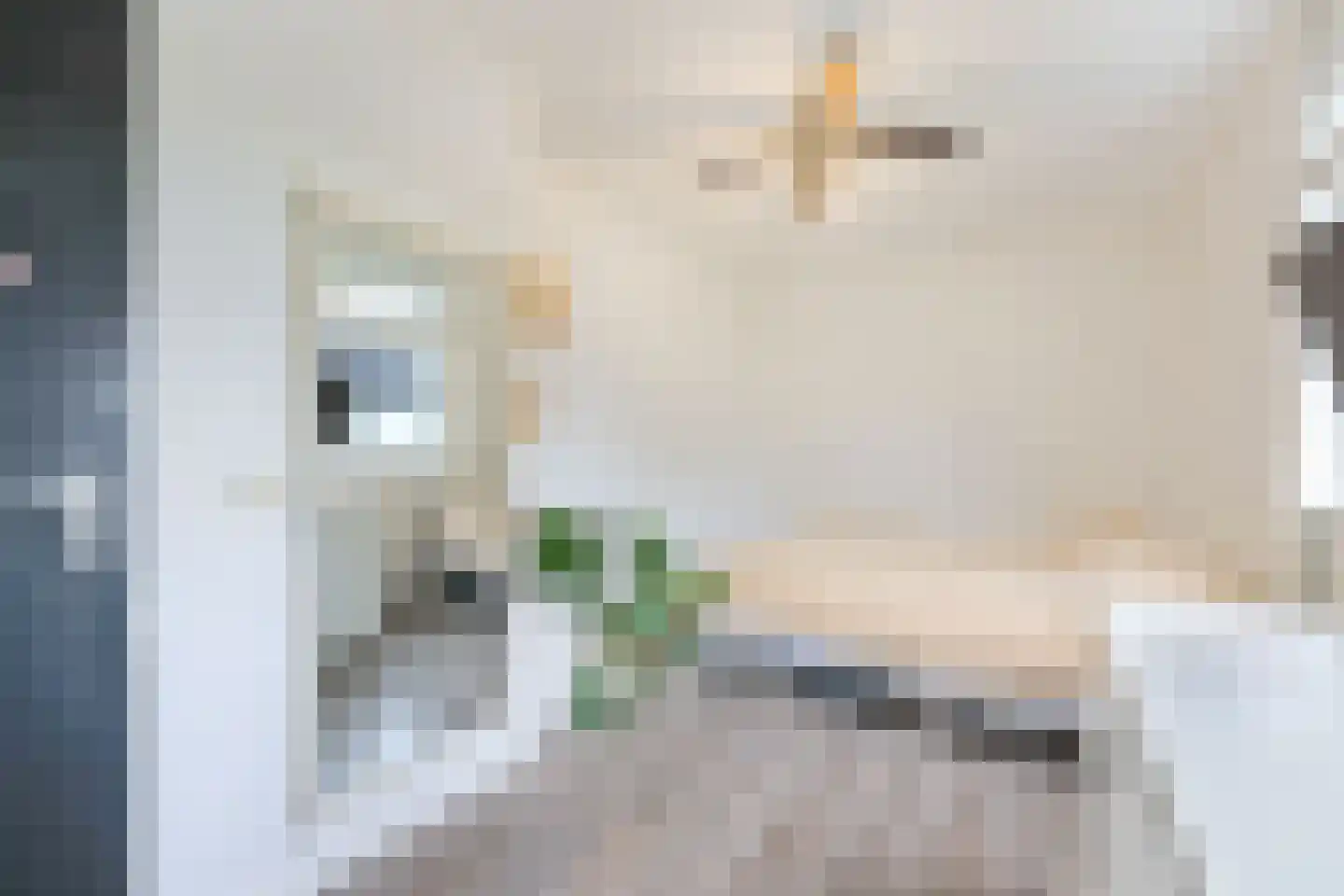 Het Welvaren 31 Westzaan thumbnail 25