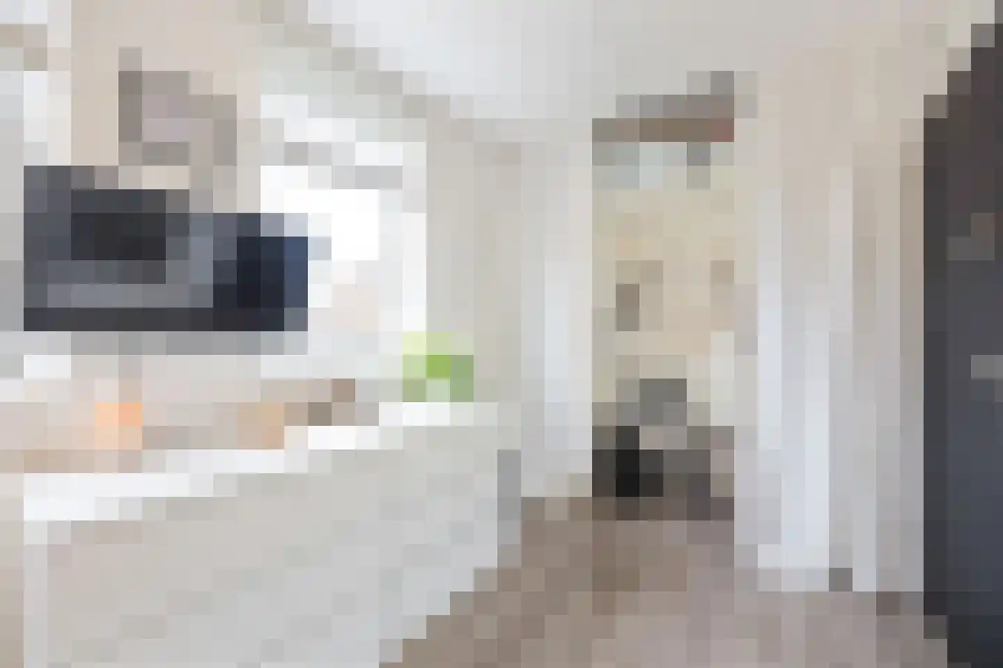 Het Welvaren 31 Westzaan thumbnail 26