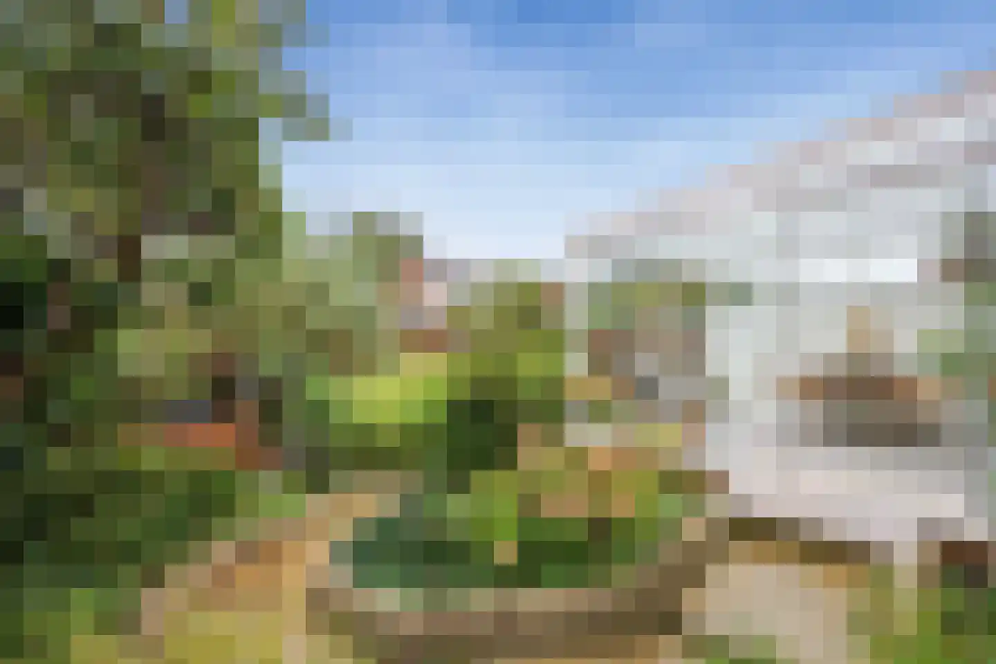 Het Welvaren 31 Westzaan thumbnail 36