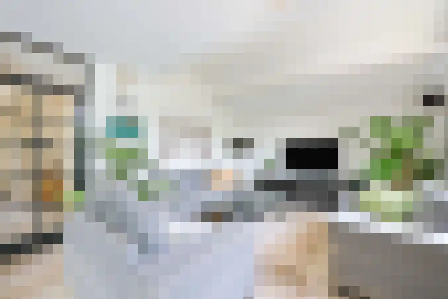 Het Welvaren 31 Westzaan thumbnail 5