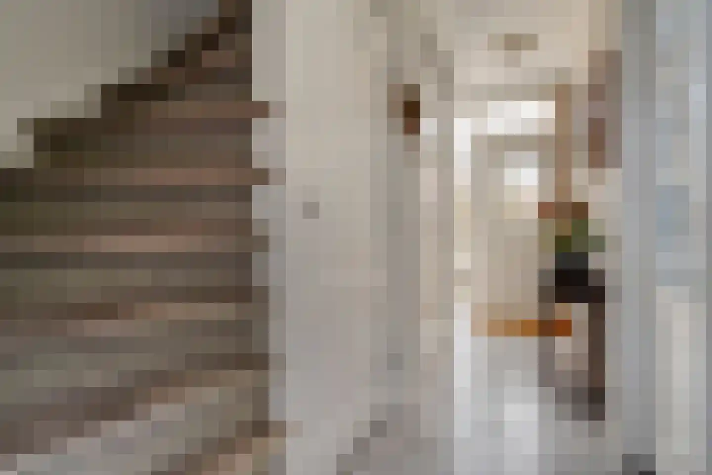 het Wever 1 Nieuw Heeten thumbnail 12