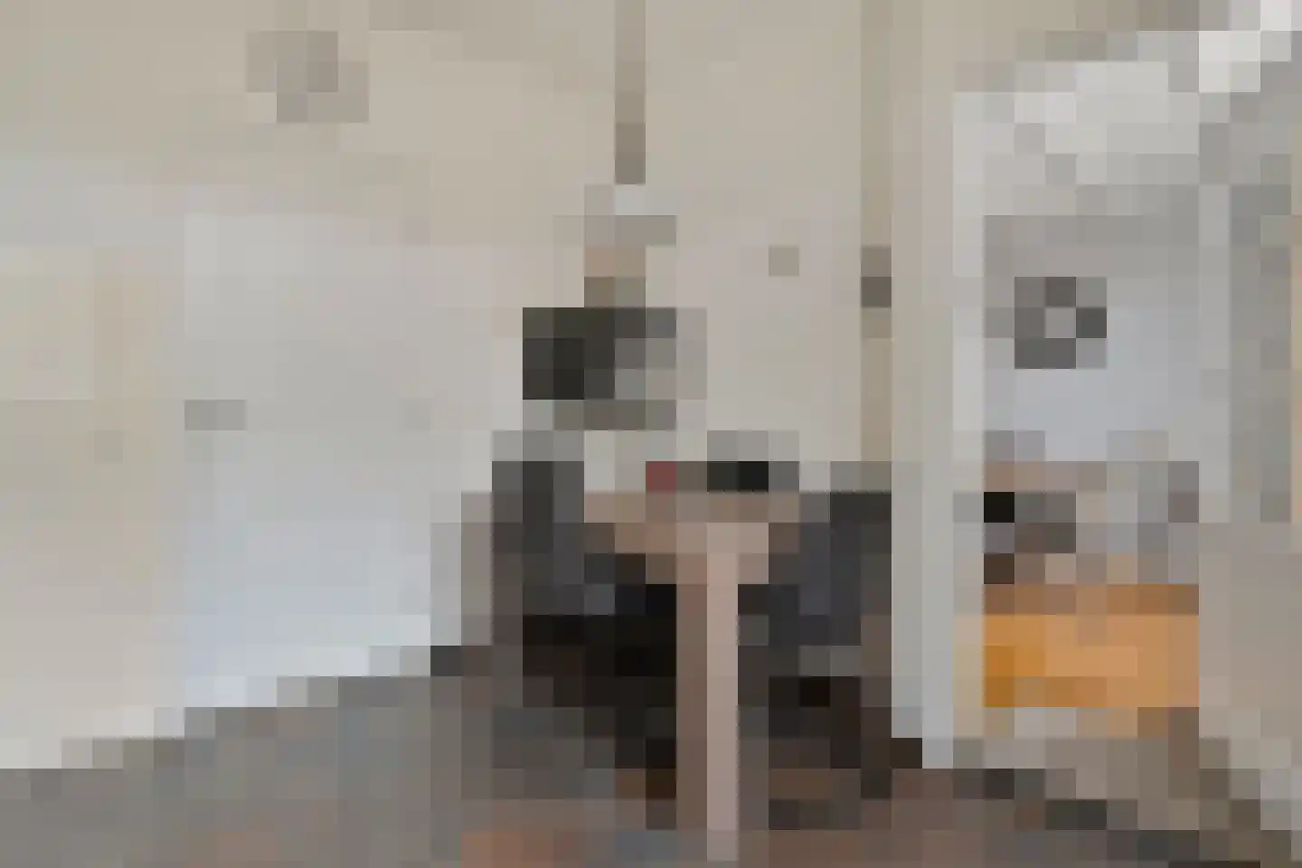 het Wever 1 Nieuw Heeten thumbnail 15
