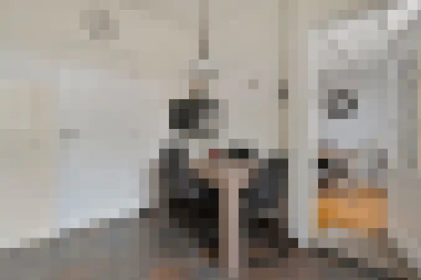 het Wever 1 Nieuw Heeten thumbnail 18