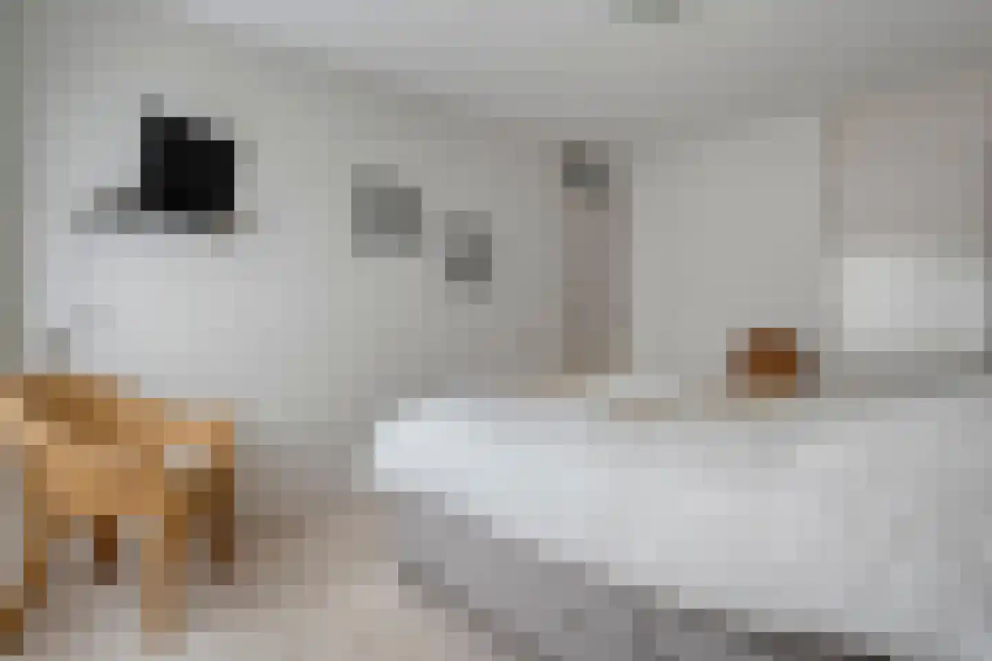 het Wever 1 Nieuw Heeten thumbnail 23