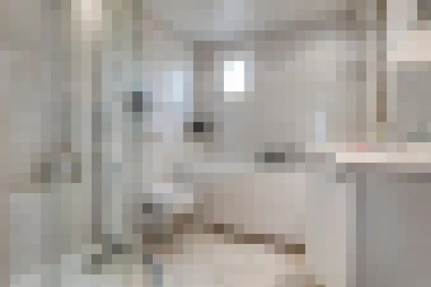 het Wever 1 Nieuw Heeten thumbnail 24