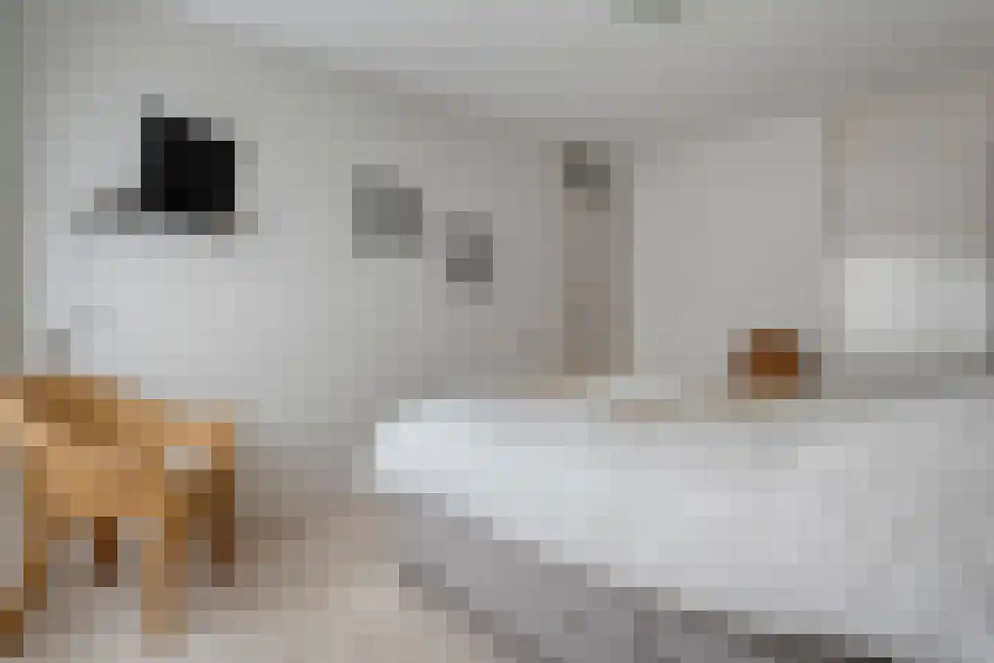 het Wever 1 Nieuw Heeten thumbnail 26