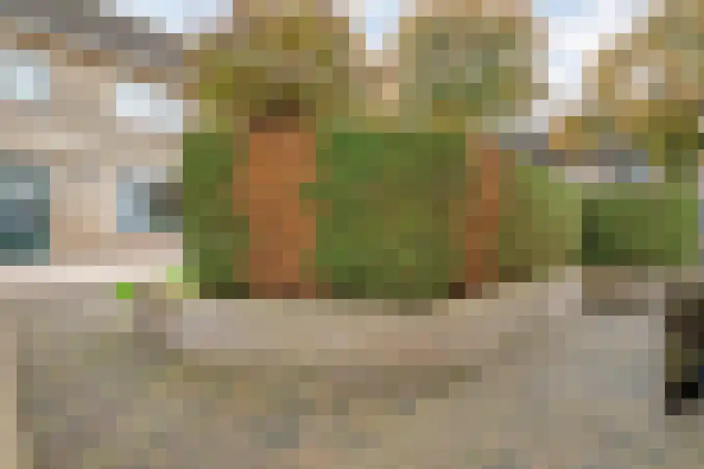 het Wever 1 Nieuw Heeten thumbnail 39