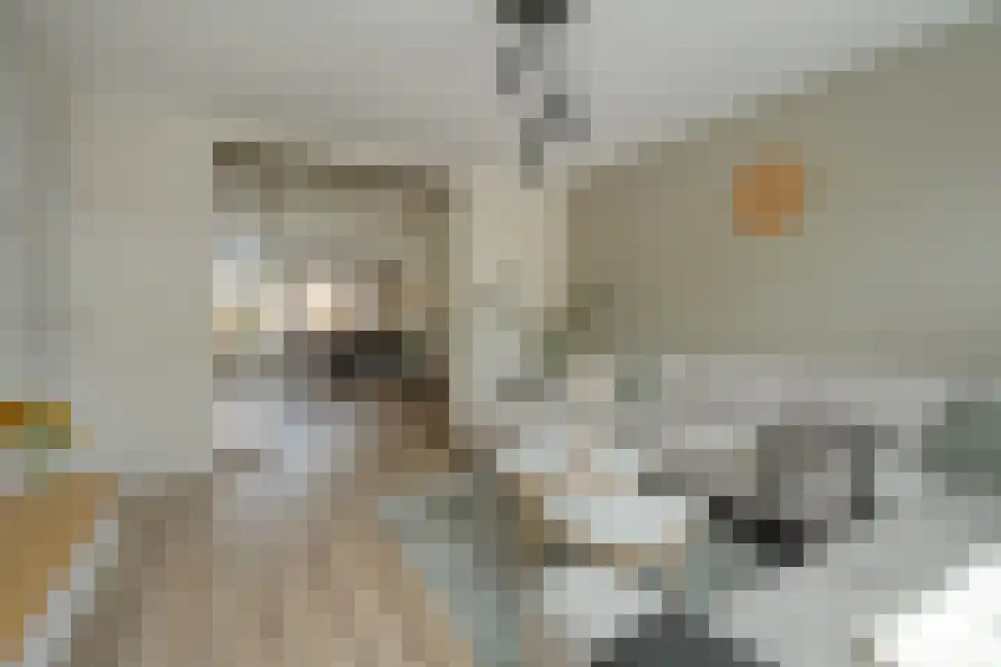 het Wever 4 Nieuw Heeten thumbnail 11