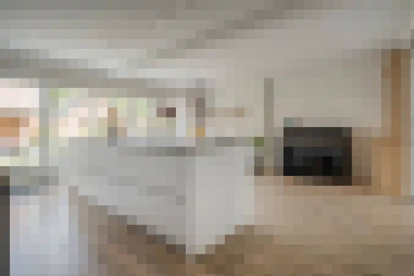 het Wever 4 Nieuw Heeten thumbnail 15