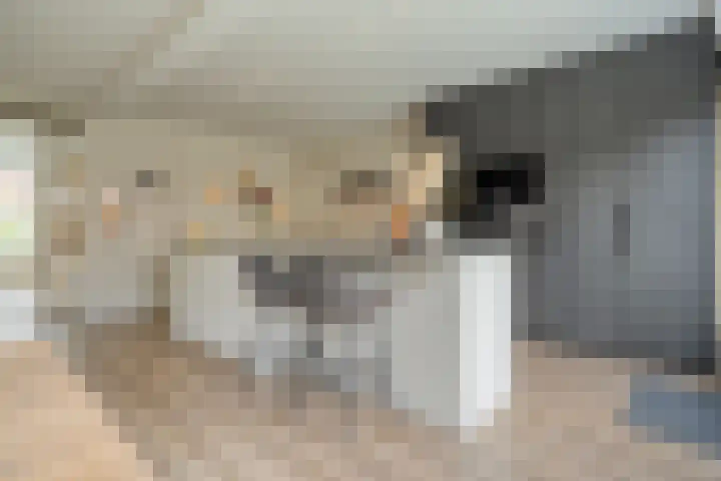 het Wever 4 Nieuw Heeten thumbnail 18