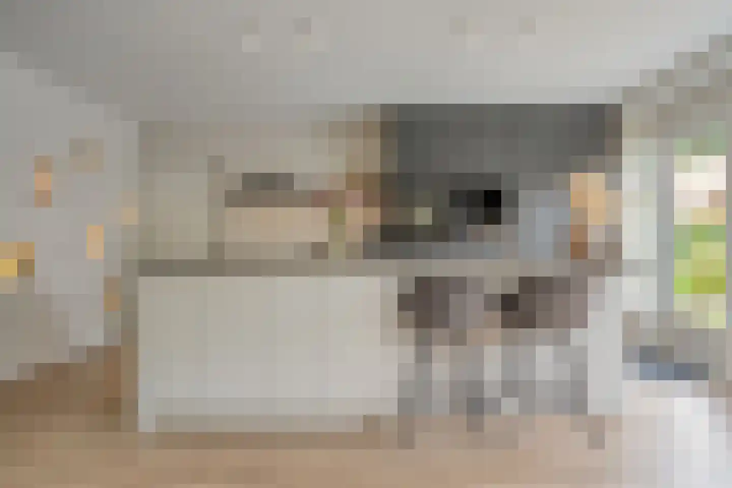 het Wever 4 Nieuw Heeten thumbnail 20