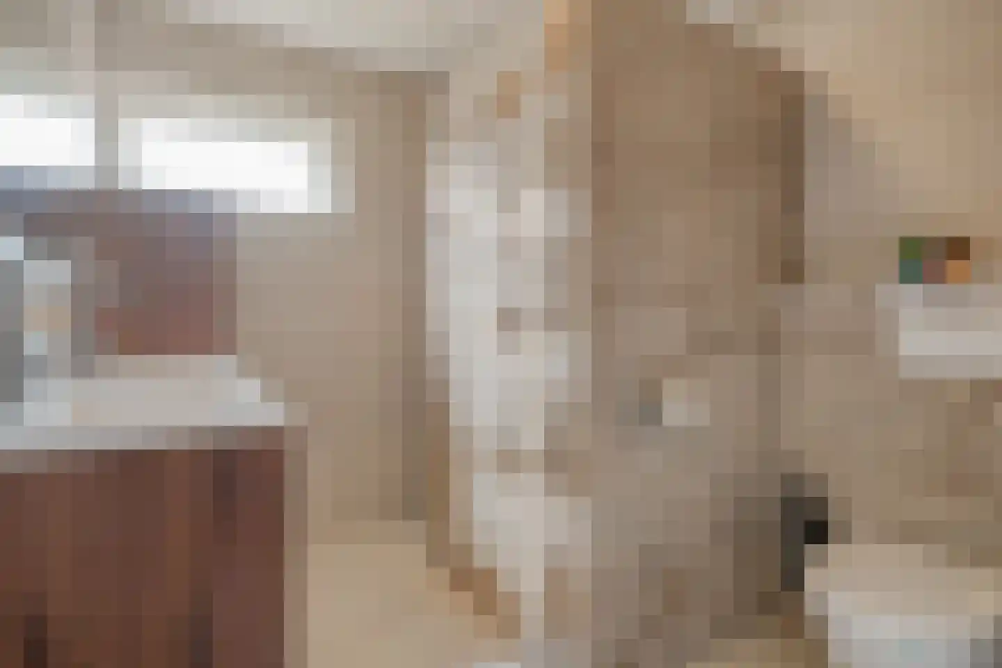 het Wever 4 Nieuw Heeten thumbnail 31
