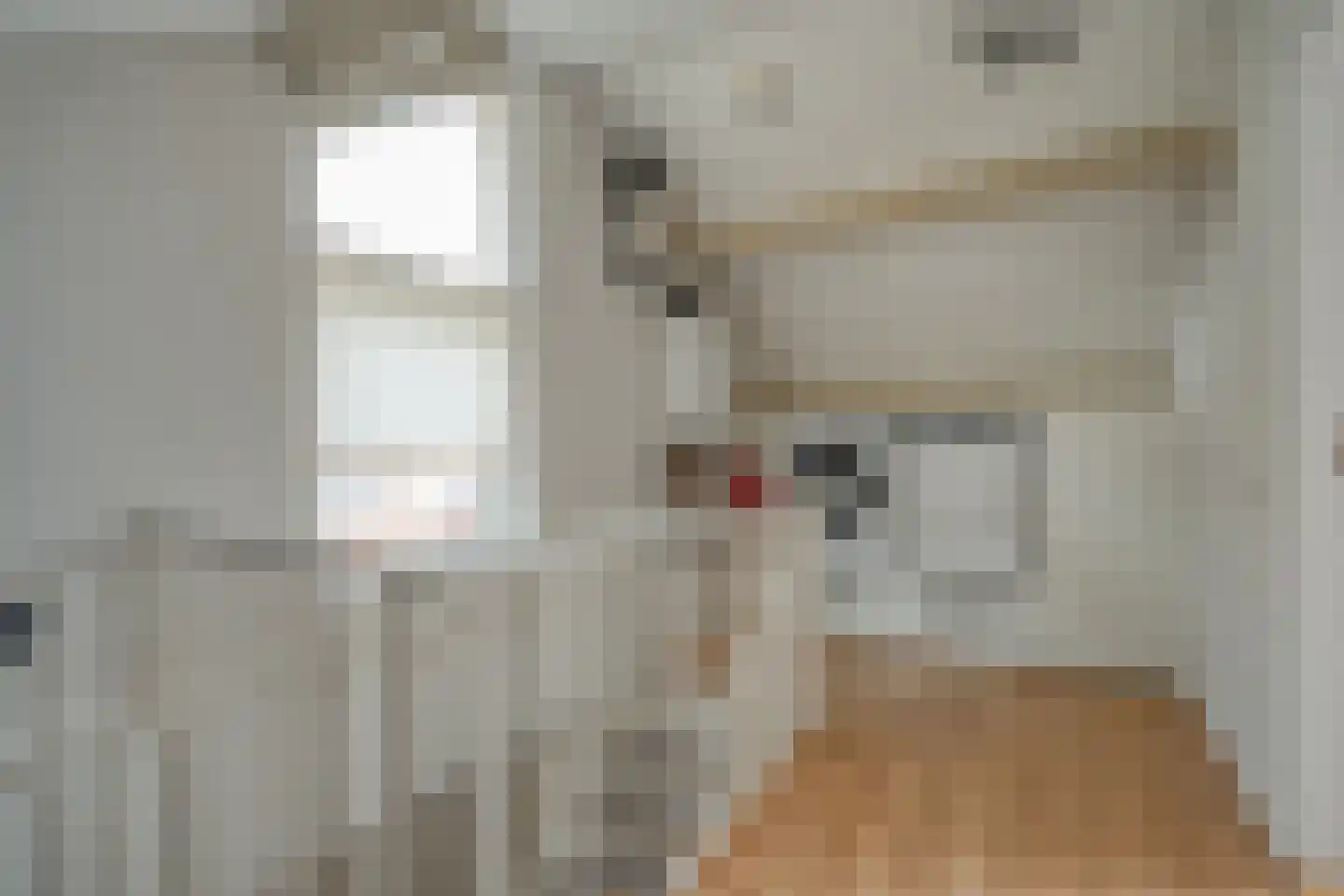 het Wever 4 Nieuw Heeten thumbnail 34