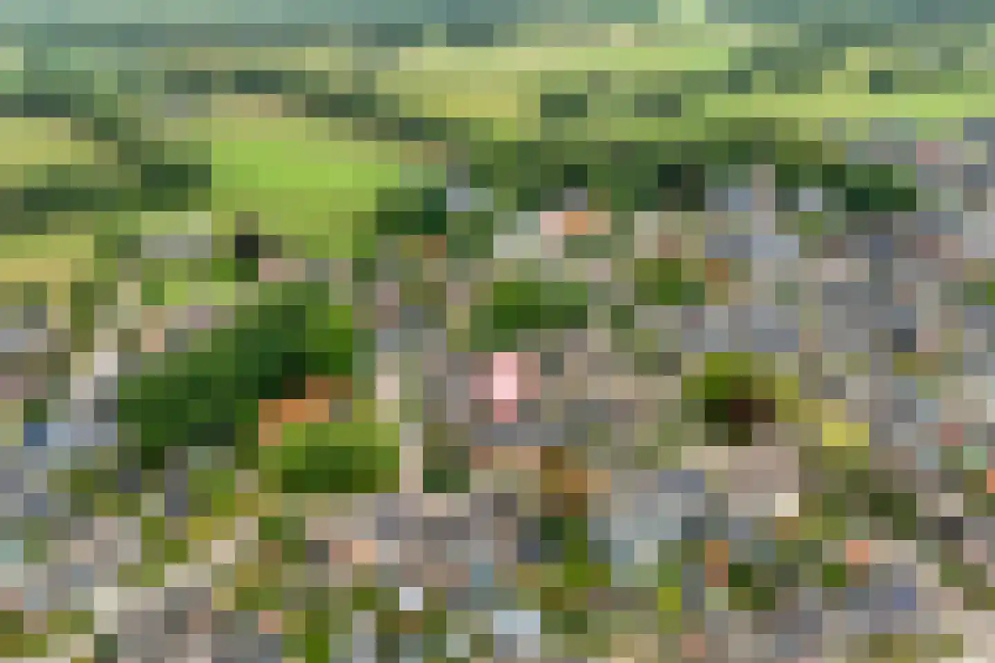 het Wever 4 Nieuw Heeten thumbnail 4