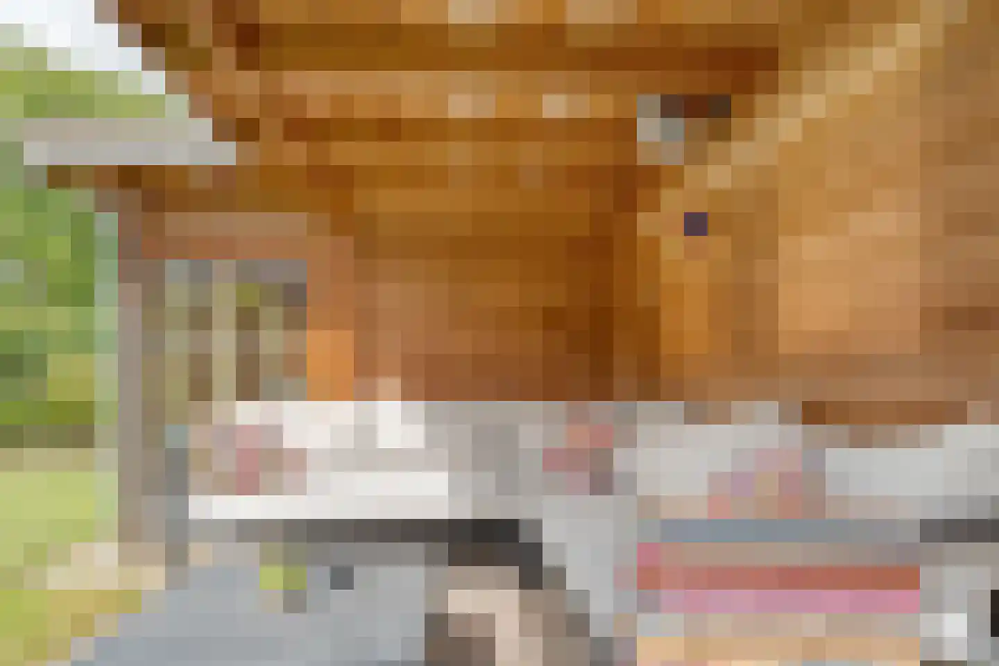 het Wever 4 Nieuw Heeten thumbnail 41