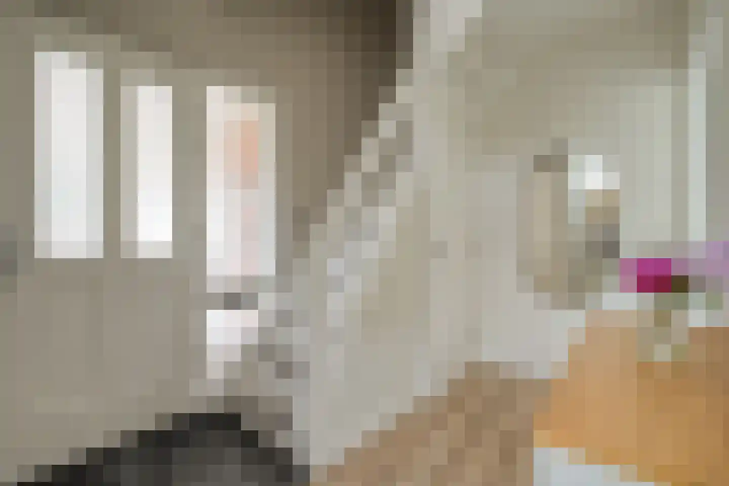 het Wever 4 Nieuw Heeten thumbnail 8