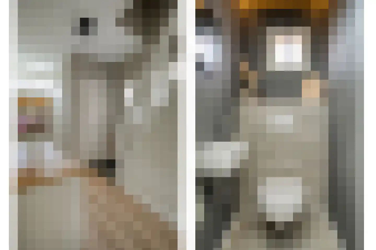 het Wever 4 Nieuw Heeten thumbnail 9