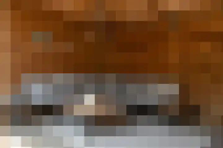 Het Wiel 28 Dalem thumbnail 11