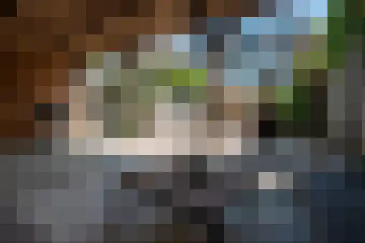 Het Wiel 28 Dalem thumbnail 12