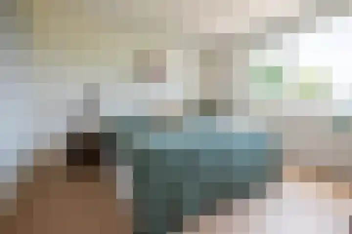 Het Wiel 28 Dalem thumbnail 14