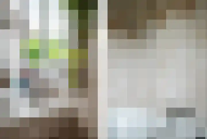 Het Wiel 28 Dalem thumbnail 18