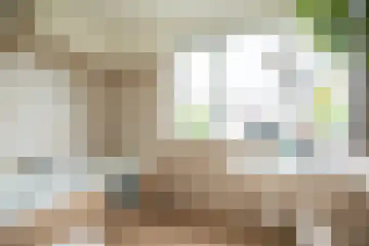 Het Wiel 28 Dalem thumbnail 19